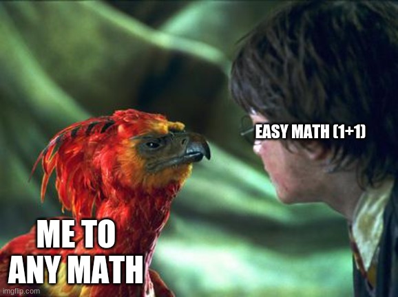 Phoenix Harry potter | EASY MATH (1+1); ME TO ANY MATH | image tagged in phoenix harry potter | made w/ Imgflip meme maker