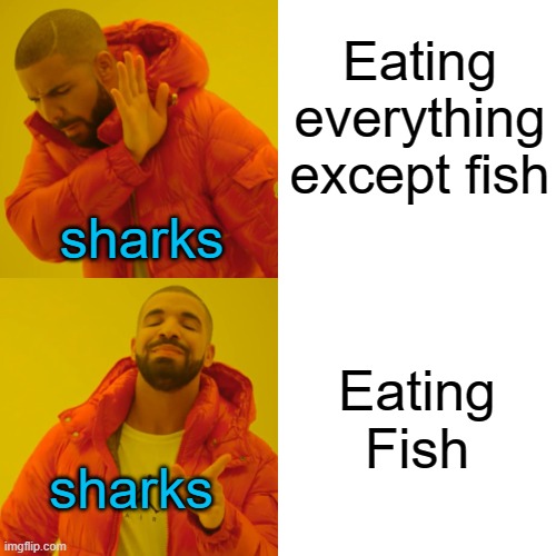 Fish. | Eating everything except fish; sharks; Eating Fish; sharks | image tagged in memes,drake hotline bling | made w/ Imgflip meme maker