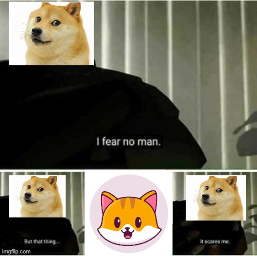 i fear no man | image tagged in i fear no man,meme,doge,catecoin | made w/ Imgflip meme maker