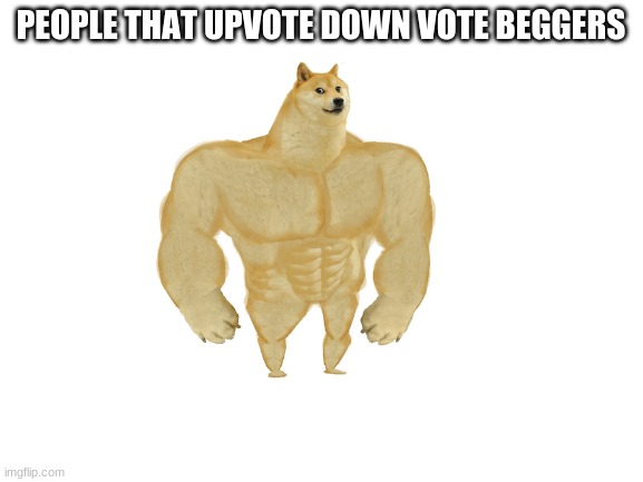 PEOPLE THAT UPVOTE DOWN VOTE BEGGERS | made w/ Imgflip meme maker