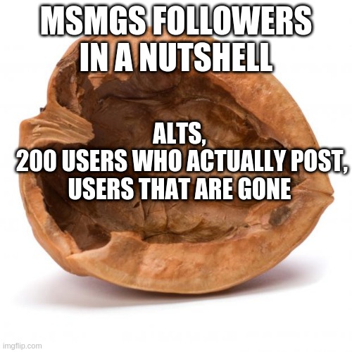 Nutshell | MSMGS FOLLOWERS IN A NUTSHELL; ALTS,
 200 USERS WHO ACTUALLY POST,
USERS THAT ARE GONE | image tagged in nutshell | made w/ Imgflip meme maker