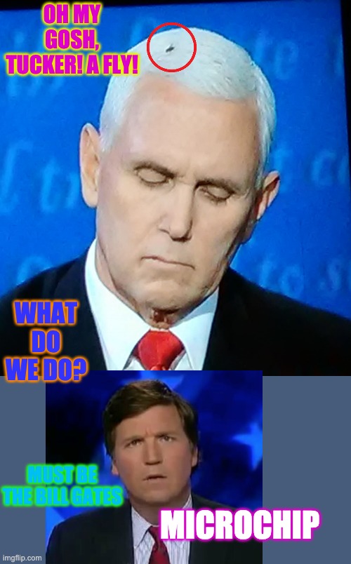 Fly on Pence head | OH MY GOSH, TUCKER! A FLY! WHAT DO WE DO? MUST BE THE BILL GATES; MICROCHIP | image tagged in fly on pence head | made w/ Imgflip meme maker