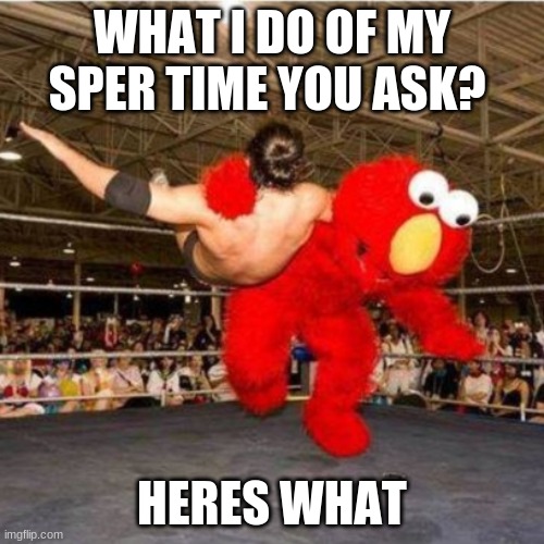 Me and my bros when moms not home | WHAT I DO OF MY SPER TIME YOU ASK? HERES WHAT | image tagged in elmo wrestling | made w/ Imgflip meme maker