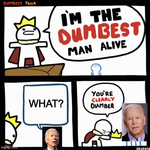 The problem with political jokes is when they get elected | WHAT? | image tagged in i'm the dumbest man alive,biden,joe biden | made w/ Imgflip meme maker