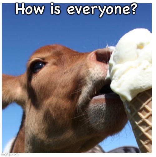 How is everyone? | made w/ Imgflip meme maker