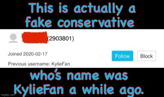 This is actually a
fake conservative who’s name was 
KylieFan a while ago. | made w/ Imgflip meme maker