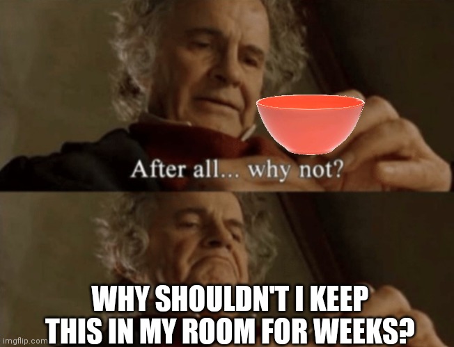 After all.. why not? | WHY SHOULDN'T I KEEP THIS IN MY ROOM FOR WEEKS? | image tagged in after all why not | made w/ Imgflip meme maker