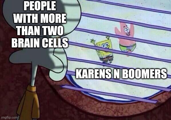 HOW STUPID ARE THEY | PEOPLE WITH MORE THAN TWO BRAIN CELLS; KARENS N BOOMERS | image tagged in squidward window | made w/ Imgflip meme maker