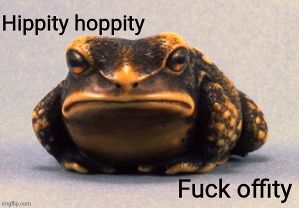 Hippity hoppity fuck offity | image tagged in hippity hoppity fuck offity | made w/ Imgflip meme maker