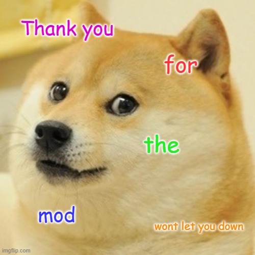 Thanks | Thank you; for; the; mod; wont let you down | image tagged in memes,doge | made w/ Imgflip meme maker