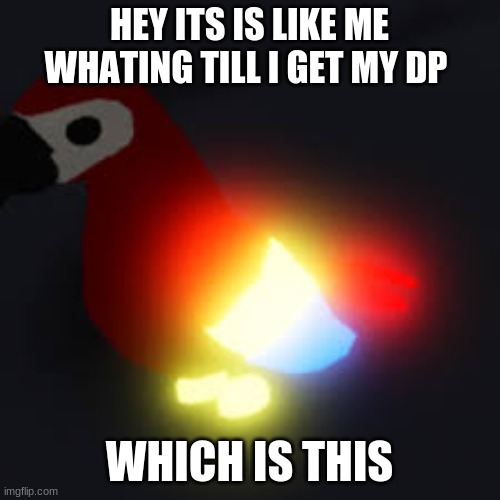HEY ITS IS LIKE ME WHATING TILL I GET MY DP WHICH IS THIS | made w/ Imgflip meme maker