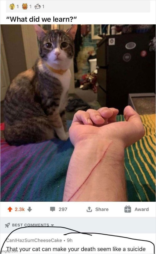 made w/ Imgflip meme maker