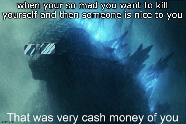 That was very cash money of you | when your so mad you want to kill yourself and then someone is nice to you | image tagged in that was very cash money of you | made w/ Imgflip meme maker