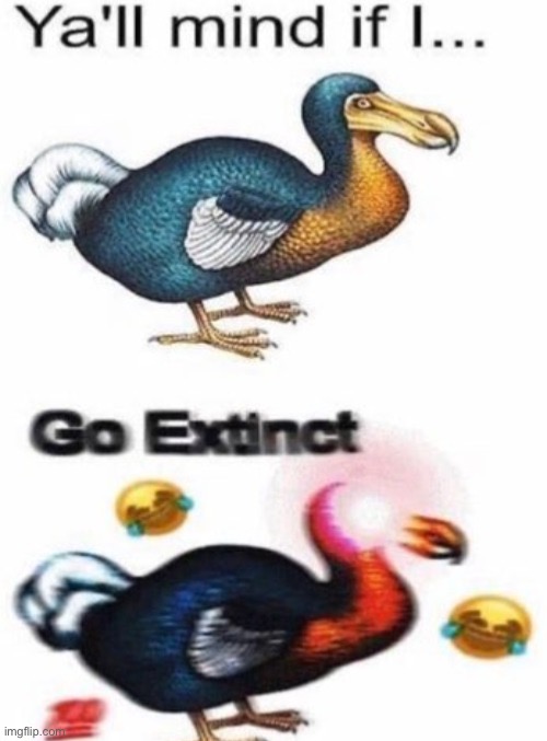 My acc will still be archived if y’all say yes, I just won’t be on anymore. | image tagged in y all mind if i go extinct | made w/ Imgflip meme maker