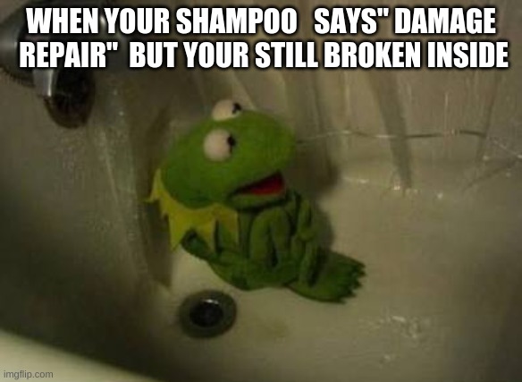 Kermit Shower | WHEN YOUR SHAMPOO   SAYS" DAMAGE  REPAIR"  BUT YOUR STILL BROKEN INSIDE | image tagged in kermit shower,funny memes | made w/ Imgflip meme maker