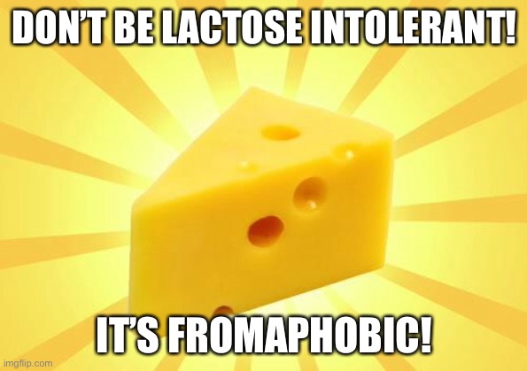 Cheese Time | DON’T BE LACTOSE INTOLERANT! IT’S FROMAPHOBIC! | image tagged in cheese time | made w/ Imgflip meme maker