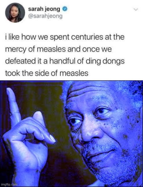 "a handful of ding dongs" - steal that one | image tagged in sarah jeong tweet,morgan freeman this blue version,vaccines | made w/ Imgflip meme maker