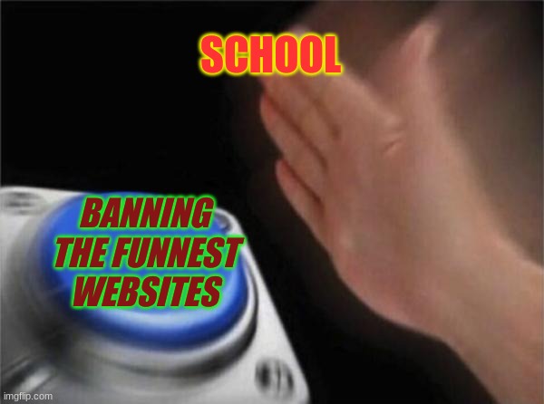 Blank Nut Button Meme | SCHOOL; BANNING THE FUNNEST WEBSITES | image tagged in memes,blank nut button | made w/ Imgflip meme maker