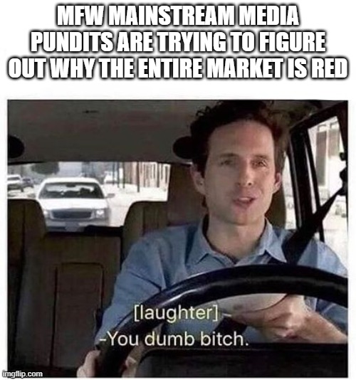 GME to the moon bitches | MFW MAINSTREAM MEDIA PUNDITS ARE TRYING TO FIGURE OUT WHY THE ENTIRE MARKET IS RED | image tagged in you dumb bitch | made w/ Imgflip meme maker