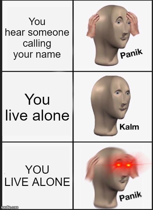 . . .hoi?. . . | You hear someone calling your name; You live alone; YOU LIVE ALONE | image tagged in memes,panik kalm panik | made w/ Imgflip meme maker