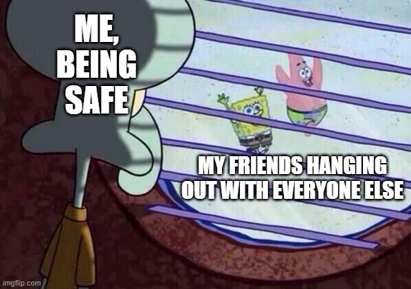 true story | ME, BEING SAFE; MY FRIENDS HANGING OUT WITH EVERYONE ELSE | image tagged in squidward window | made w/ Imgflip meme maker