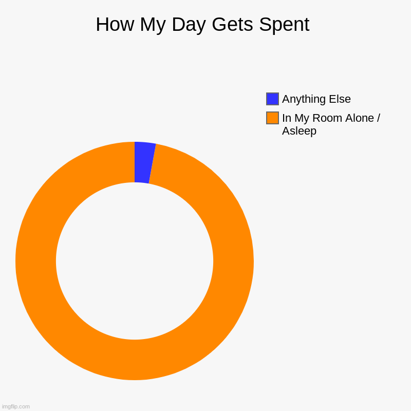 Yup | How My Day Gets Spent | In My Room Alone / Asleep, Anything Else | image tagged in charts,donut charts | made w/ Imgflip chart maker