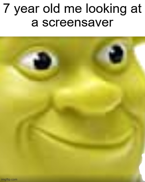 ShrekWut | 7 year old me looking at
a screensaver | image tagged in shrek | made w/ Imgflip meme maker