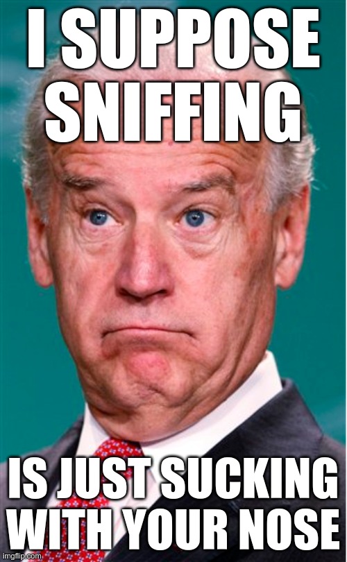 Joe Biden | I SUPPOSE SNIFFING IS JUST SUCKING WITH YOUR NOSE | image tagged in joe biden | made w/ Imgflip meme maker