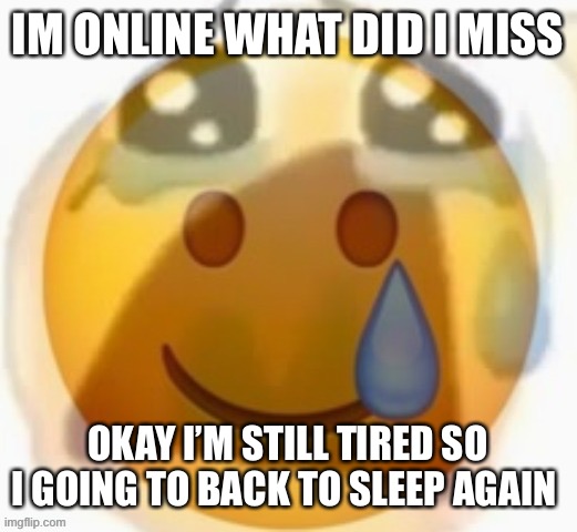 What did i miss? | IM ONLINE WHAT DID I MISS; OKAY I’M STILL TIRED SO I GOING TO BACK TO SLEEP AGAIN | image tagged in pain | made w/ Imgflip meme maker