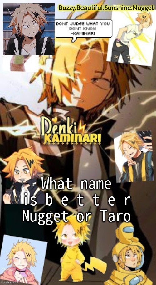 No one: Me and my brother's names for the cat we're getting: | What name is b e t t e r
Nugget or Taro | image tagged in denki temp | made w/ Imgflip meme maker