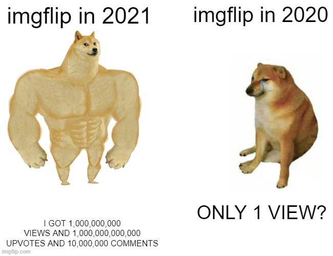 Buff Doge vs. Cheems | imgflip in 2021; imgflip in 2020; ONLY 1 VIEW? I GOT 1,000,000,000 VIEWS AND 1,000,000,000,000 UPVOTES AND 10,000,000 COMMENTS | image tagged in memes,buff doge vs cheems | made w/ Imgflip meme maker