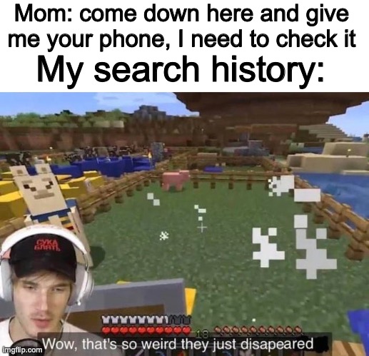 Search History | Mom: come down here and give me your phone, I need to check it; My search history: | image tagged in they just disappeared,search history,lol | made w/ Imgflip meme maker