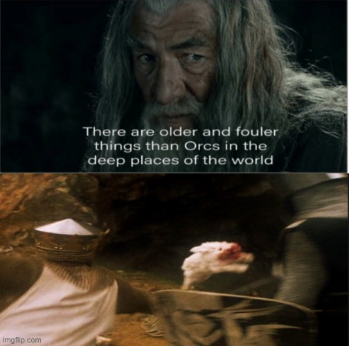 Older and fouler things than orcs - monty python | image tagged in lord of the rings,monty python | made w/ Imgflip meme maker
