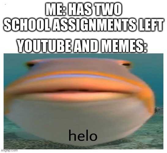 helo fish | ME: HAS TWO SCHOOL ASSIGNMENTS LEFT; YOUTUBE AND MEMES: | image tagged in helo fish | made w/ Imgflip meme maker