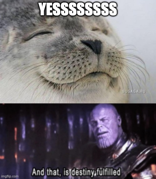 YESSSSSSSS | image tagged in happy seal,thanos destiny fulfilled | made w/ Imgflip meme maker