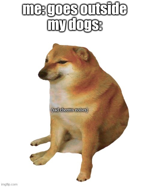 sad cheems noises | me: goes outside
my dogs: | image tagged in sad cheems noises,cheems,sad,memes,funny,funny memes | made w/ Imgflip meme maker