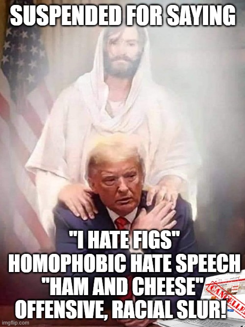 Don't feel like the Lone Ranger | SUSPENDED FOR SAYING; "I HATE FIGS"
 HOMOPHOBIC HATE SPEECH

 "HAM AND CHEESE" 
OFFENSIVE, RACIAL SLUR! | image tagged in jusus and trump meme,donald trump meme,funny donald trump meme,i know how you feel,i feel your pain,jesus meme | made w/ Imgflip meme maker