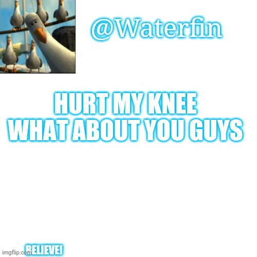 Waterfins Template | HURT MY KNEE WHAT ABOUT YOU GUYS | image tagged in waterfins template | made w/ Imgflip meme maker