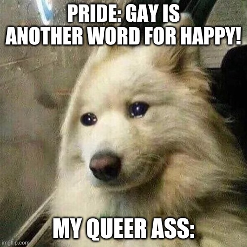 My queer ass: | PRIDE: GAY IS ANOTHER WORD FOR HAPPY! MY QUEER ASS: | image tagged in doggo,gay pride | made w/ Imgflip meme maker