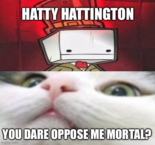 HATTY HATTINGTON; YOU DARE OPPOSE ME MORTAL? | image tagged in blank white template | made w/ Imgflip meme maker