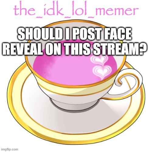 idk | SHOULD I POST FACE REVEAL ON THIS STREAM? | image tagged in the_idk_lol_memer temp | made w/ Imgflip meme maker