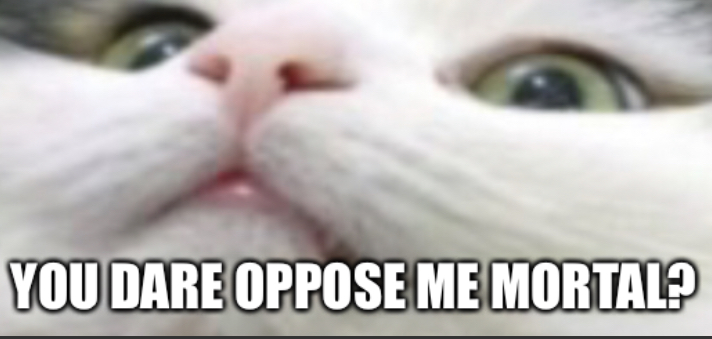 High Quality You dare oppose me mortal (Cat edition) Blank Meme Template