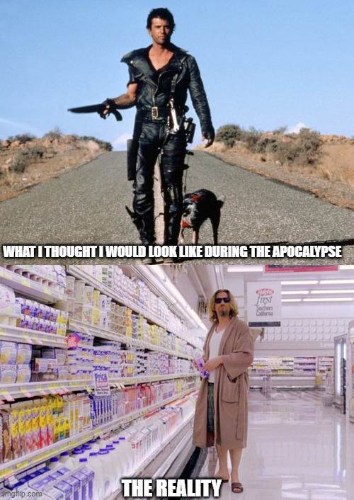What I thought I would look ​like during the Apocalypse |  WHAT I THOUGHT I WOULD LOOK LIKE DURING THE APOCALYPSE; THE REALITY | image tagged in mad max,the dude | made w/ Imgflip meme maker