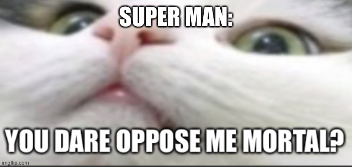 Batman: your going down super man | SUPER MAN: | image tagged in you dare oppose me mortal cat edition | made w/ Imgflip meme maker