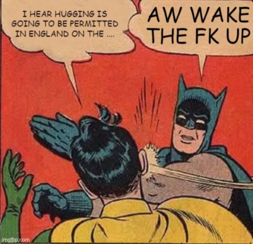 Scamdemic | image tagged in memes,batman slapping robin,covid-19 | made w/ Imgflip meme maker