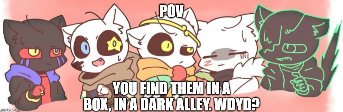An Encounter with 5 Cat Sanses (NO OP OC'S PLEASE) | POV; YOU FIND THEM IN A BOX, IN A DARK ALLEY. WDYD? | image tagged in pov,sans undertale,cats | made w/ Imgflip meme maker