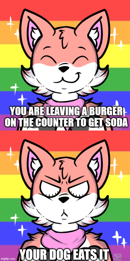 YOU ARE LEAVING A BURGER ON THE COUNTER TO GET SODA; YOUR DOG EATS IT | image tagged in very happy finx,angry finx | made w/ Imgflip meme maker