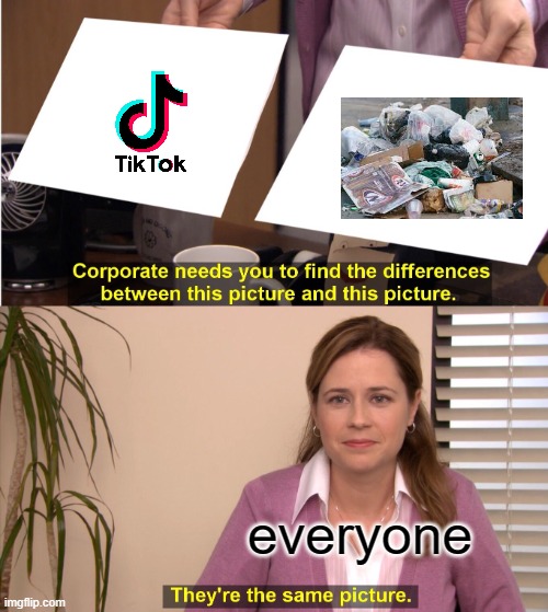 trashy tiktok | everyone | image tagged in memes,they're the same picture | made w/ Imgflip meme maker