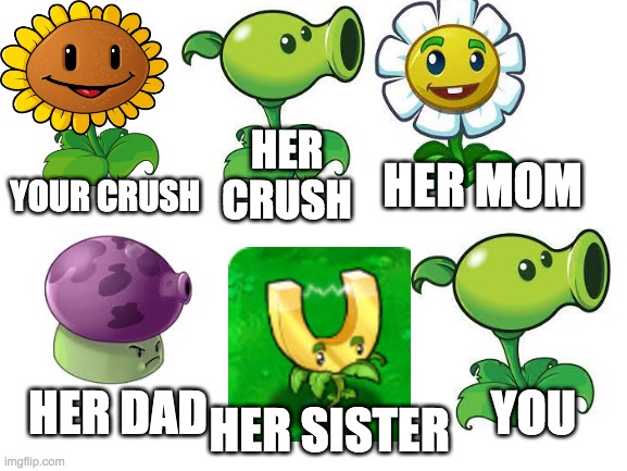 This will make you feel better | HER CRUSH; HER MOM; YOUR CRUSH; HER DAD; YOU; HER SISTER | image tagged in blank white template | made w/ Imgflip meme maker