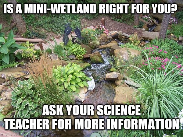 IS A MINI-WETLAND RIGHT FOR YOU? ASK YOUR SCIENCE TEACHER FOR MORE INFORMATION | made w/ Imgflip meme maker